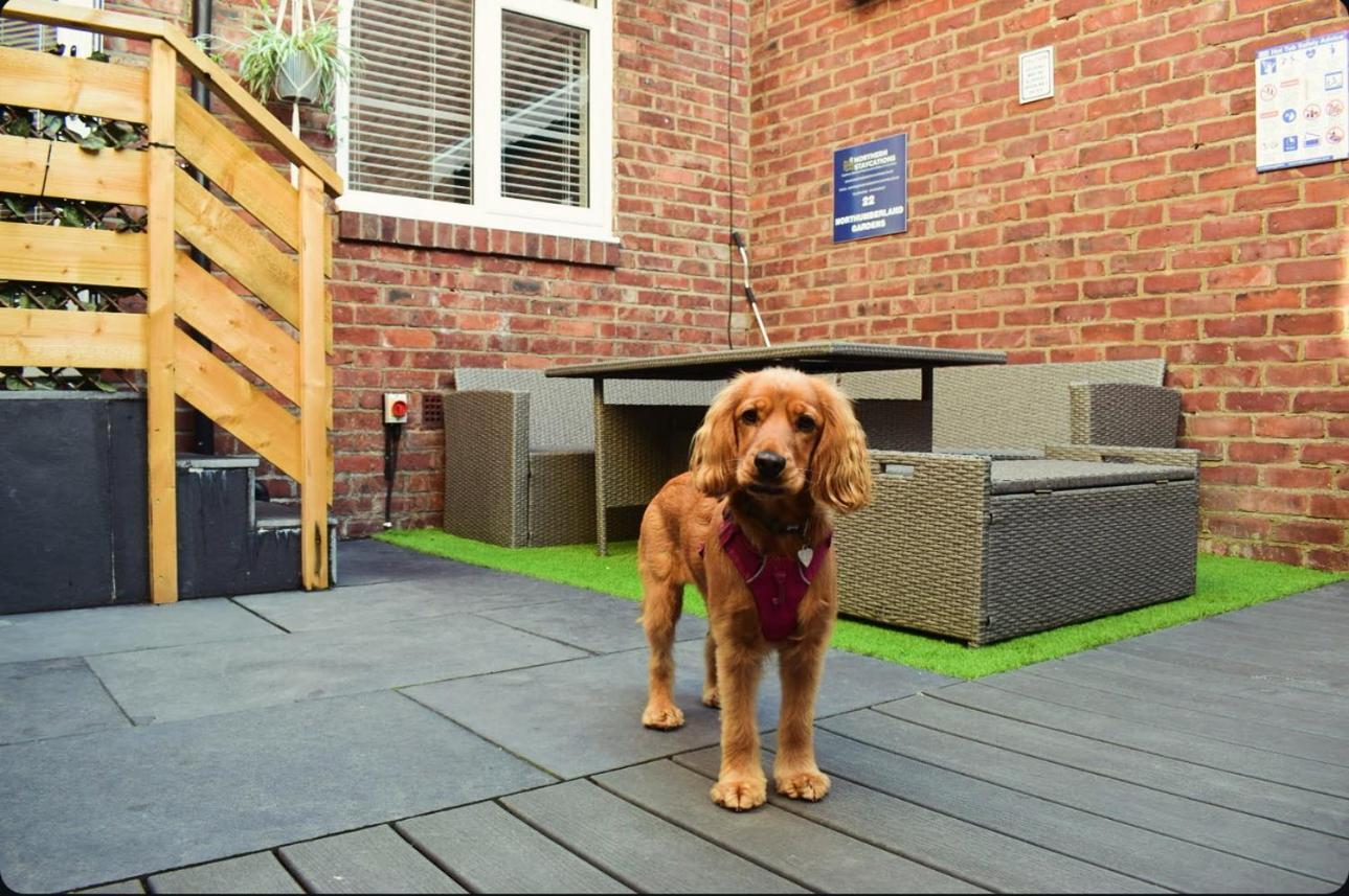 Hot Tub, Free Parking, Near Shops & Restaurants, Location 1M To City Jesmond ภายนอก รูปภาพ